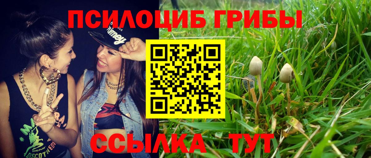 Магадан  Галлюциногенные грибы MAGIC MUSHROOMS  Галлюциногенные грибы прущие грибы  Вход с VPN 